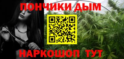 крисы Камышлов