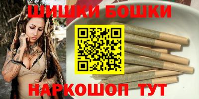крисы Камышлов