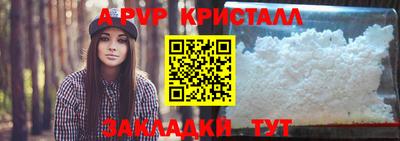 крисы Камышлов